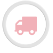 Domestic Transportation